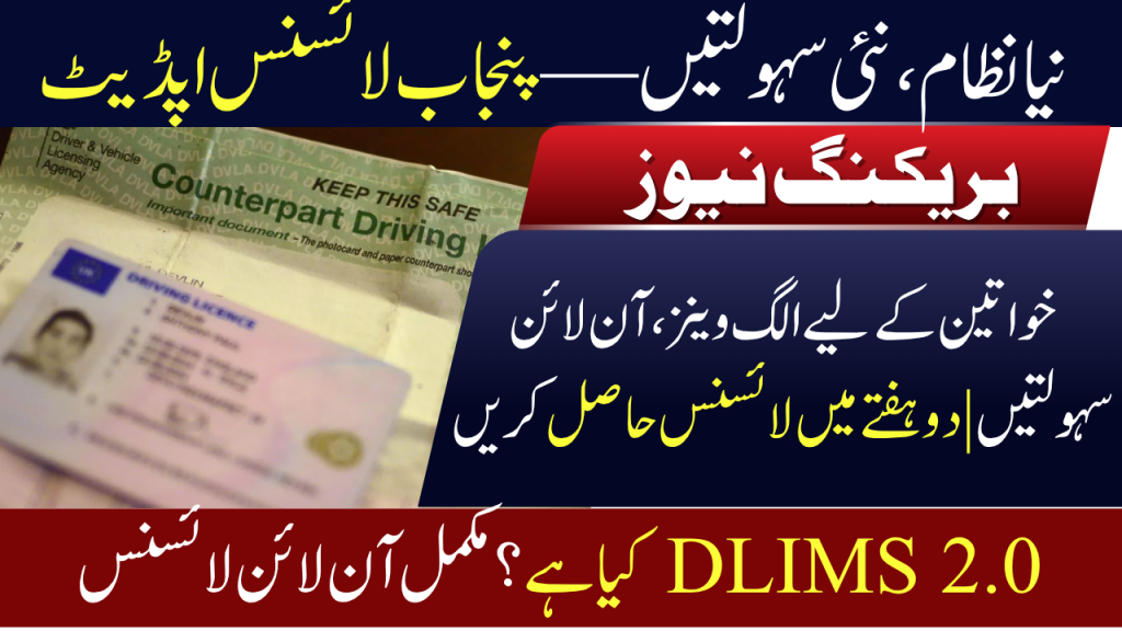 Punjab Driving License