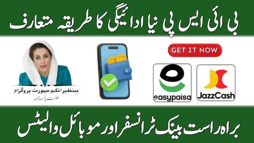 BISP 8171 New Payment Method